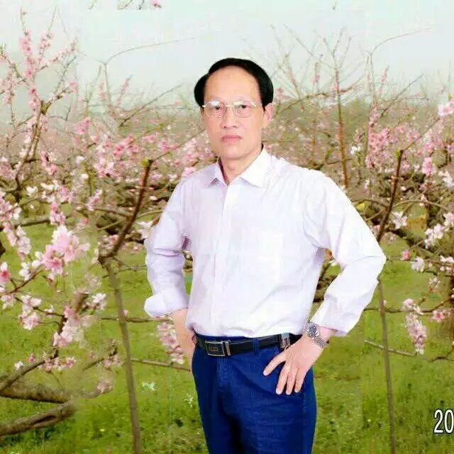 枫叶的第一张照片--柘荣交友网